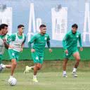 Foto: Cesar Greco/Palmeiras.