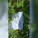 Foto: Arquivo Pessoal