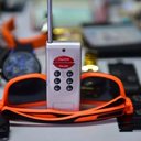 Foto: Divulgação/Polícia Civil do Amazonas