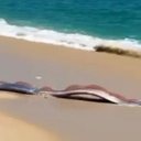 Foto: Reprodução/Instagram