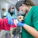 Foto: Divulgação/Prefeitura de SP.