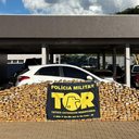 Divulgação/ SSP SP