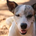 Foto: Divulgação/TJSP