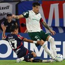 Foto: Cesar Greco/Palmeiras