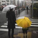 Reprodução: Freepik / rawpixel.com