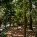 Foto: Divulgação/Milena Camilo