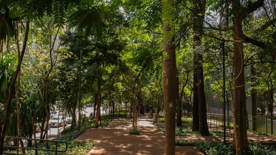 Novo jardim transforma a Avenida Paulista\u003B conheça o espaço