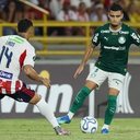 Cesar Greco/Palmeiras