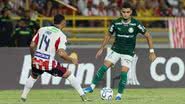 Cesar Greco/Palmeiras