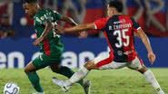 Cesar Greco/ Palmeiras