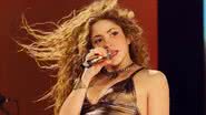 Foto: Instagram/@shakira.