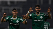 Cesar Greco/Palmeiras