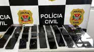 Foto: Reprodução/Governo de SP