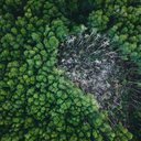 Foto: Pexels/Pok Rie
