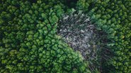 Foto: Pexels/Pok Rie