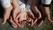 Foto: Pexels/Marina Chocobar