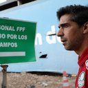 Cesar Greco/Palmeiras
