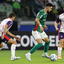 Palmeiras tropeça em casa na Libertadores e deixa liderança do Grupo F