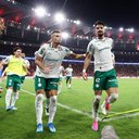 Cesar Greco/Palmeiras