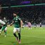 Cesar Greco/ Palmeiras