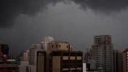 Foto: Divulgação/Governo de São Paulo.