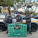 Divulgação/ SSP - SP