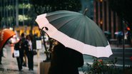 Foto: Pexels/Nayara Dinato
