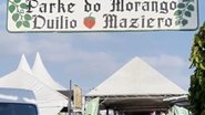 Foto: Reprodução/Instagram/@morango_festaatibaiajarinu