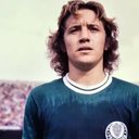 Foto: Reprodução/Divulgação/Palmeiras