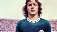 Foto: Reprodução/Divulgação/Palmeiras