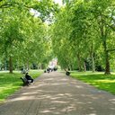 Foto: Pexels/Bob Jenkin