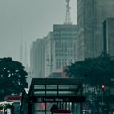Foto: Pexels/Jonathan Oliveira