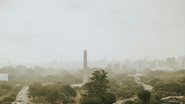 Foto: Pexels/Letícia Alvares