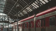 Foto: Pexels/Lucas Pezeta