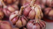 Foto: Pexels/Matheus Bertelli