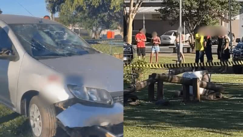 Foto: Reprodução/Guarda Civil de Paulínia