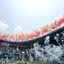 Foto: Divulgação/FIFA