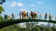 Foto: Pexels/Andre Moura