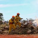Foto: Divulgação Governo de São Paulo/Reprodução Agência SP