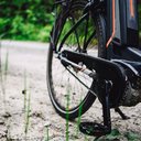 Foto: Pexels/Markus Spiske