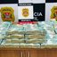 Foto: Reprodução/Divulgação/Polícia Civil de São Paulo