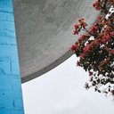 Foto: Pexels/Emílio