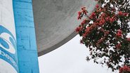 Foto: Pexels/Emílio
