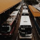 Foto: Pexels/Israelzin Oliveira