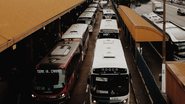 Foto: Pexels/Israelzin Oliveira