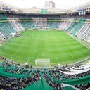 Foto: Divulgação/Palmeiras