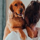 Foto: Pexels/Ivan Babydov
