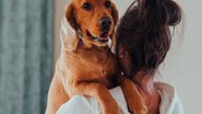 Foto: Pexels/Ivan Babydov