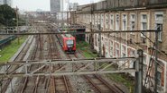 Foto: Pexels/Th2city Santana