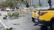 Foto: Divulgação/Prefeitura de São Sebastião